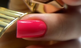 8655c520dbf947c392c1830b914f292e